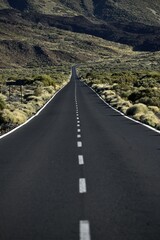 Obraz premium Road TF21, volcanic landscape, Teide National Park, Tenerife, Canary Islands, Spain, Europe