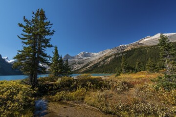 Trail on glacial lake Bow Lake, Banff National Park, Canadian Rockies, Alberta Province, Canada, North America