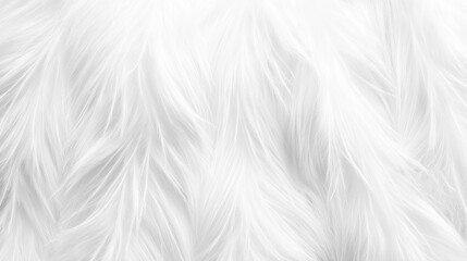 Fototapeta premium White feathery background.