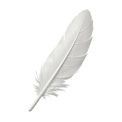 Elegant White Feather Showcasing Textural Details and Curves