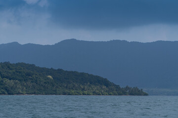 Tropical seas and ocean islands with tropical plants and trees