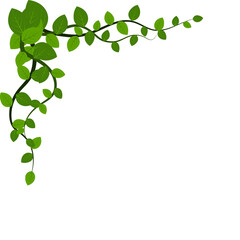 Vine Leaf Corner © Gilang