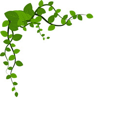 Vine Leaf Corner