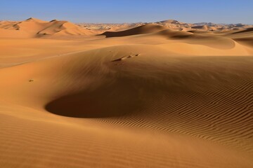Sanddunes of In Tehak, Tadrart, Tassili n'Ajjer National Park, Sahara desert, Algeria, Africa
