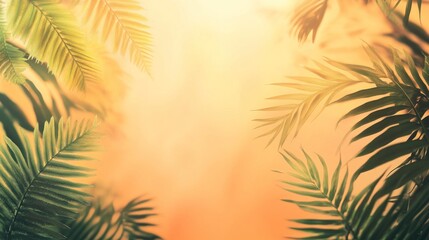 Naklejka premium Warm sunset light filters through lush green palm fronds.