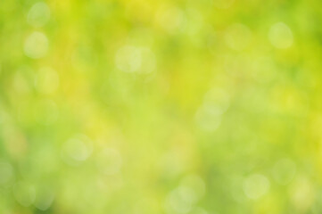 Defocus light natural green with yellow background. Bokeh, blurred greenery in the sun