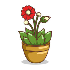 Home plant cartoon style. potted plant isolated on white