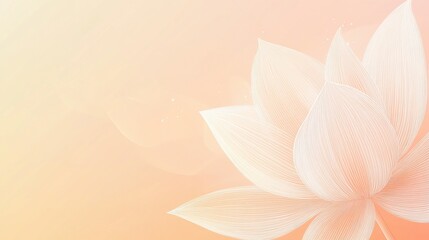 Obraz premium Soft pink lotus flower background with light.
