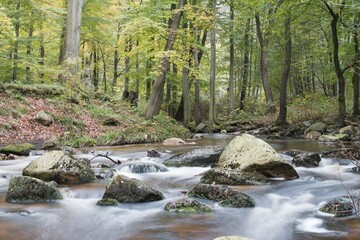 Ilsetal valley in autumn, near Ilsenburg, Saxony-Anhalt, Germany, Europe