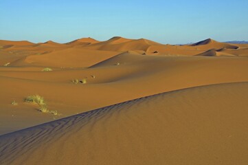 Desert, sand dune of Erg Chebbi, Morocco, Africa