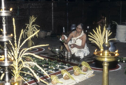 Sarpam kalam in sree Nagaraja Temple in Mannarsala, Kerala, India. Pooja for serpent God