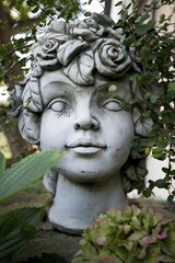 Obraz premium Overgrown marble head