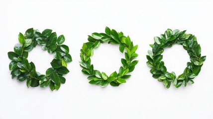 Set of lush green leaves forming a vibrant, natural backdrop for creative designs and projects.