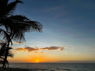 Magic Sunset at the Beach on the Island La Reunion with a Palm tree and dramatic clouds