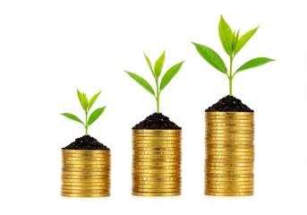 Stacks of golden coins each topped with a small green plant growing from rich soil isolated on a white background