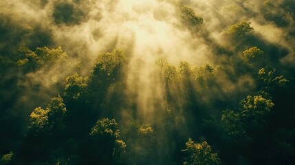 Naklejka premium Aerial view of sun rays breaking through morning mist over a lush forest.