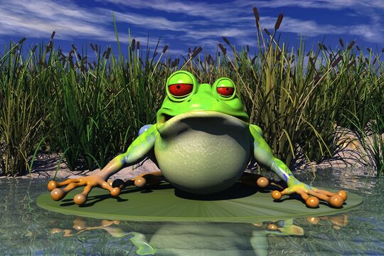Cartoon illustration of a frog sitting in pond