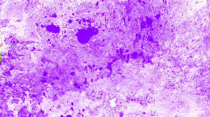 Abstract marble background from different shades of purple. White spots. Chaotic spots, waves, stripes and dots. They form different textures.