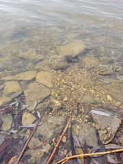 A body of water with rocks and a beach