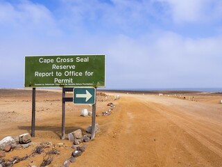 Cape Cross, protection zone, reserve for seals, Erongo Region, Namibia, Africa