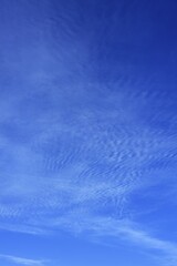 Cirrus, cirrus floccusam, in a blue sky