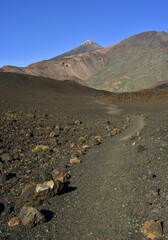 Hiking trail to Pico del Teide and Pico Viejo, Montaña Samara, Teide National Park, Tenerife, Canary Islands, Spain, Europe