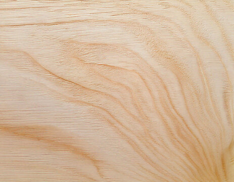 Wood texture in close up for nature abstract background, part 21