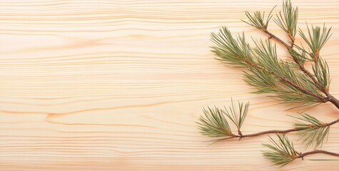 Pine branch on light wood background; copy space.