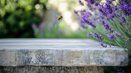 Bee in flight near lavender and stone surface.