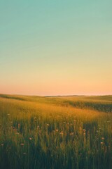 Golden Sunset Meadow Landscape