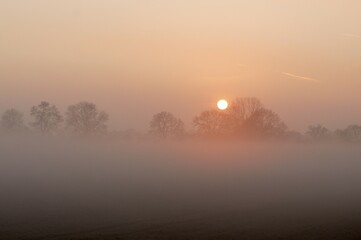 Obraz premium Sunrise with trees and fog, Rheinberg, Niederrhein, North Rhine-Westphalia, Germany, Europe