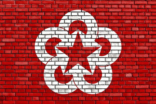 Flag of Comecon painted on brick wall
