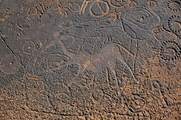 Rock engraving of the Dancing Kudus, Twyfelfontein, Unesco World Heritage Site, Kunene Region, Namibia, Africa