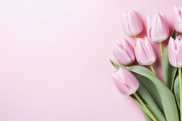 Fototapeta premium Pink tulip spring flowers with copy space. KI generiert, generiert AI generated