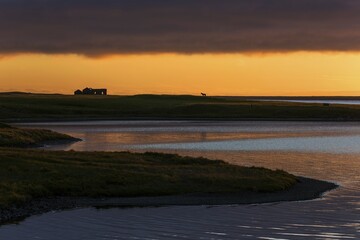 Sunset, a horse in the back and house ruin, near Grundarfjördur, Snaefellsnes Peninsula, Iceland,...