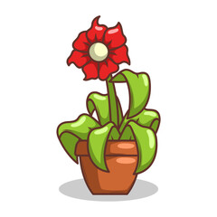 Home plant cartoon style. potted plant isolated on white