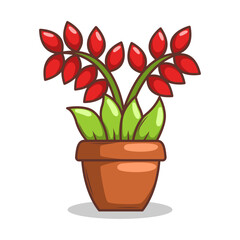 Home plant cartoon style. potted plant isolated on white