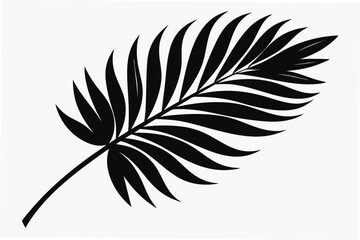 Fototapeta premium palm leaf silhouette vector