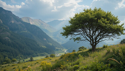 Obraz premium landscape with trees and clouds
