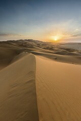 Sand dunes at sunset, Rub' al Khali or Empty Quarter, United Arab Emirates, Asia