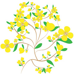 floral background with flowers