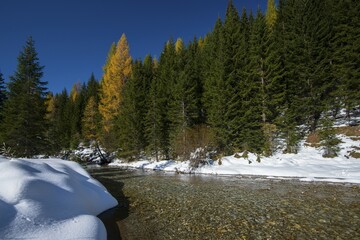 Autumn in the Park Riedingtal nature park, autumn colours, larches, first snow, Riedingbach, Zederhaus, Lungau, Salzburg, Austria, Europe