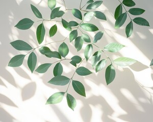 Sunlight illuminating vibrant green leaves, showcasing the natural process of transpiration where plants release moisture bright sunlight highlights the harmonious interplay of nature's elements