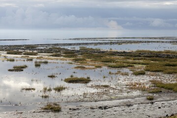Atmospheric light in the Wadden Sea National Park, UNESCO World Heritage Site, Sylt, North Frisian...
