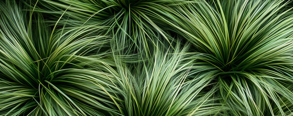 Lush green grass texture, garden background, nature design