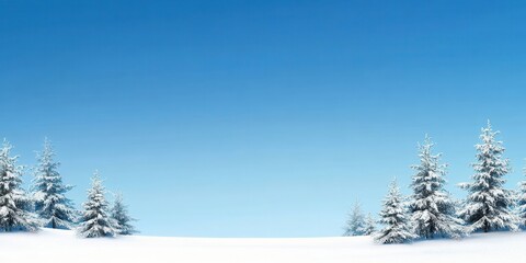 Fototapeta premium Snow-Covered Pine Forest Under a Clear Blue Sky: A Serene Winter Wonderland