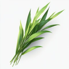 A Lush Collection of Green Leaves That Evokes Serenity and Freshness in Nature