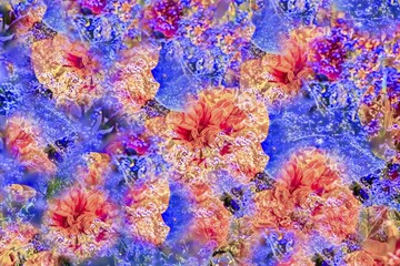 Flowers creative, artistic shot, hibiscuses (Hibiscus), marshmallow, red flowers alienated, plants, all over, abstract flowers, Germany, Europe