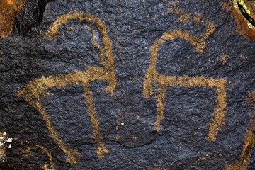 Petroglyphs of Siberian ibex (Capra sibirica), up to 2500 years old, West Karakol Valley, Tien Shan...