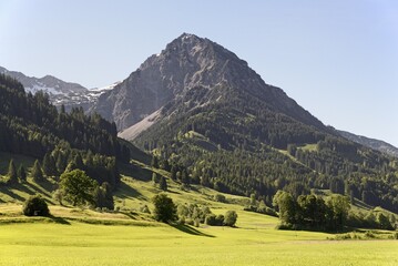 View to the mountain Rubihorn 1957 m, Reichenbach near Oberstdorf, Allg&auml;u Alps, Allg&auml;u, Bavaria, Germany, Europe